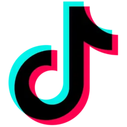 Tiktok Ads icon